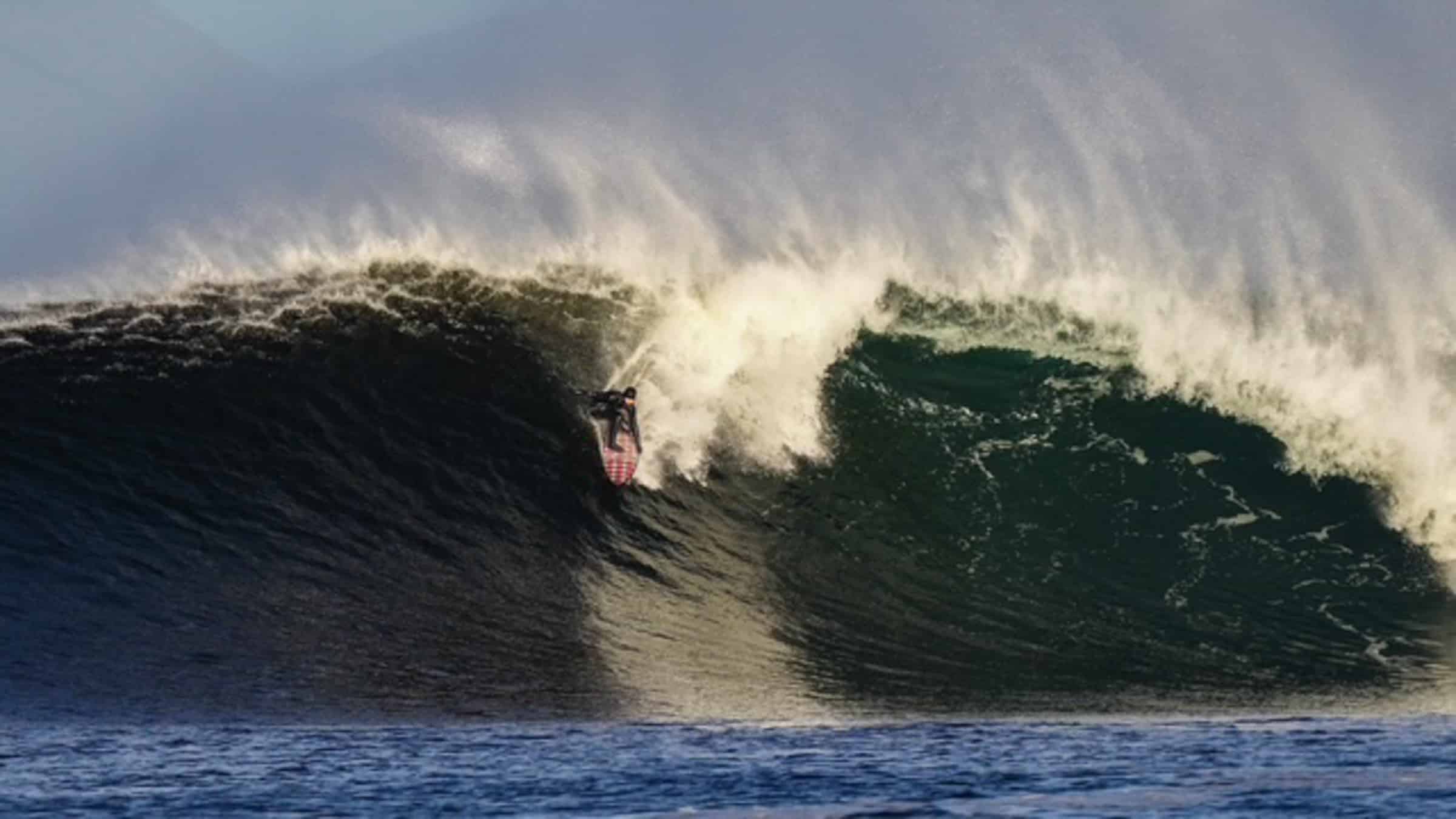 @phoebe_strachan credit @malsurf