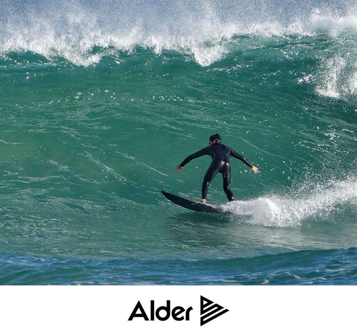 alder-main
