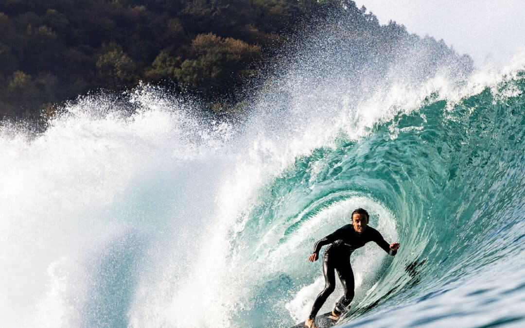 Carve Magazine Issue 231