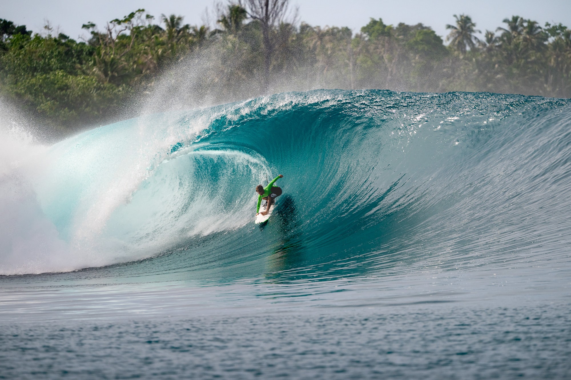 Billabong Bloodlines