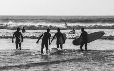 Winter Surf Essentials Guide
