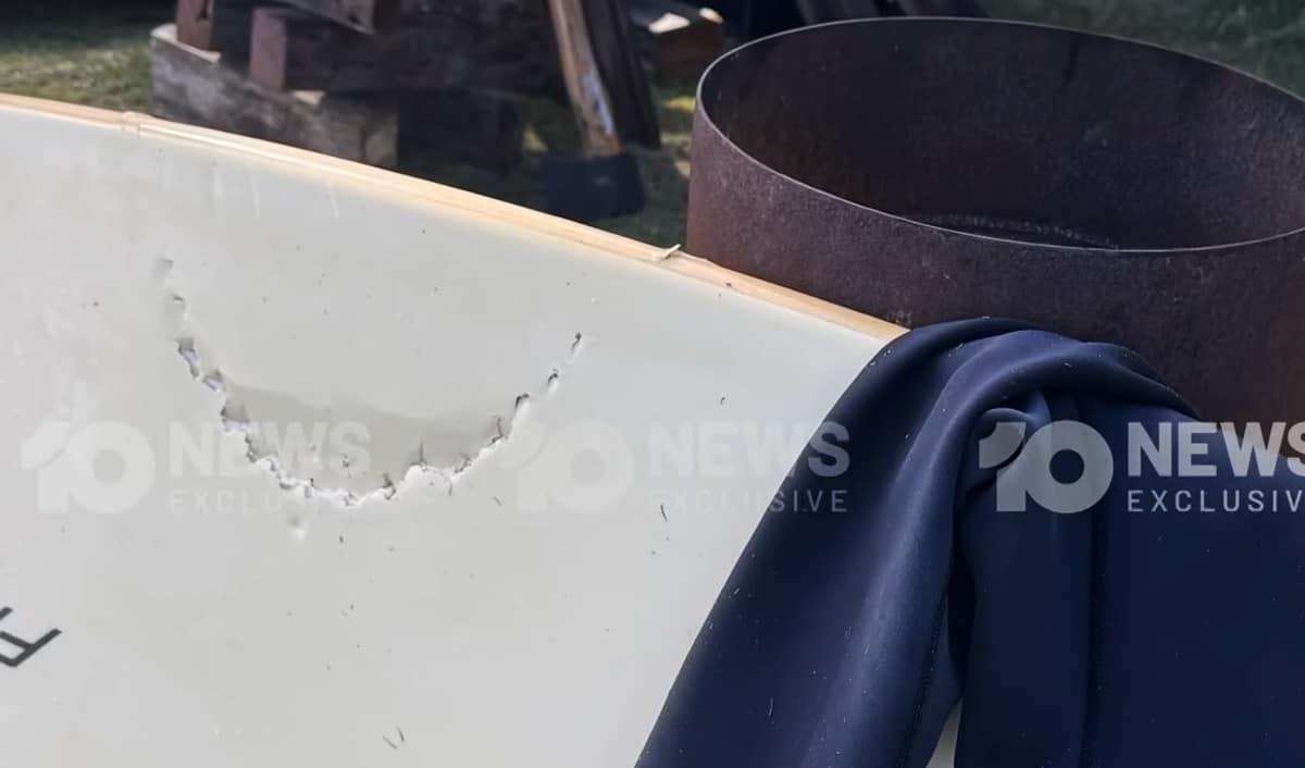 NSW Shark Attacks