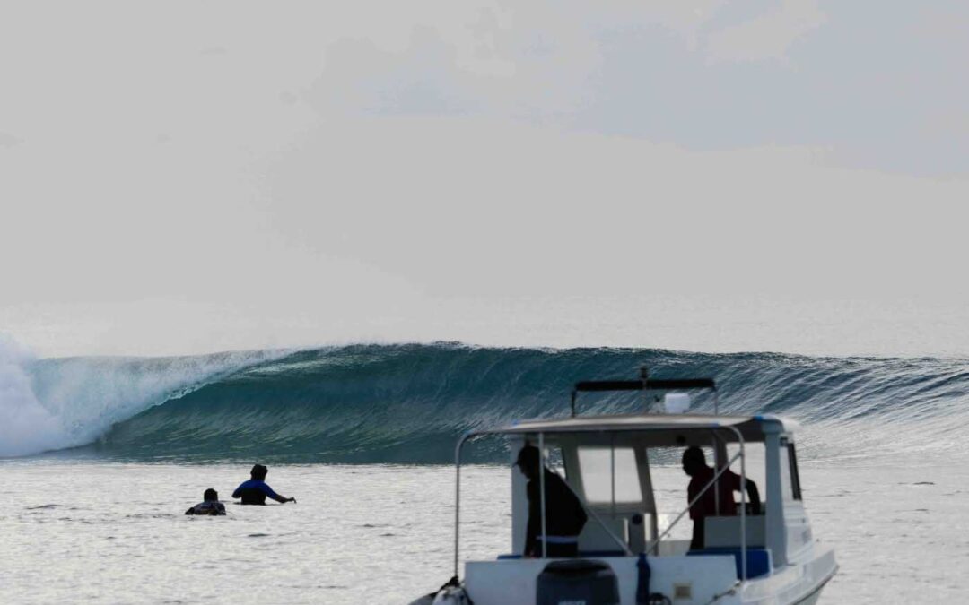 2026 Surf Travel Hot List