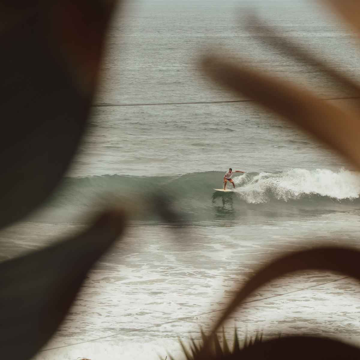 The surf at Free Spirit Hostel - Ecuador
