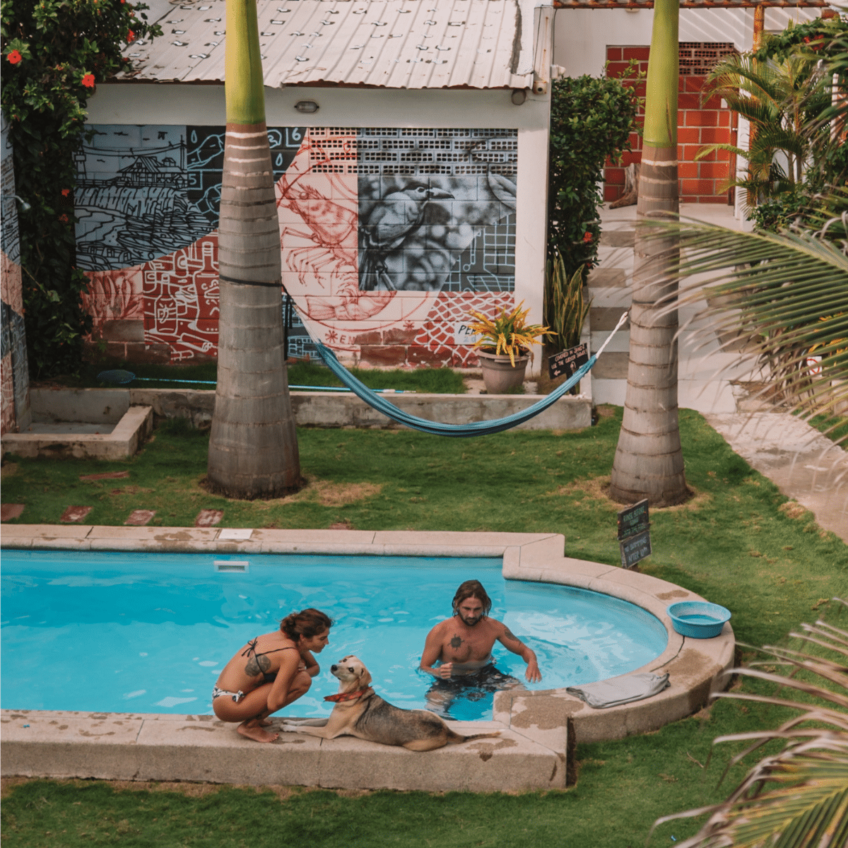 The pool at Free Spirit Surf Hostel - Ecuador