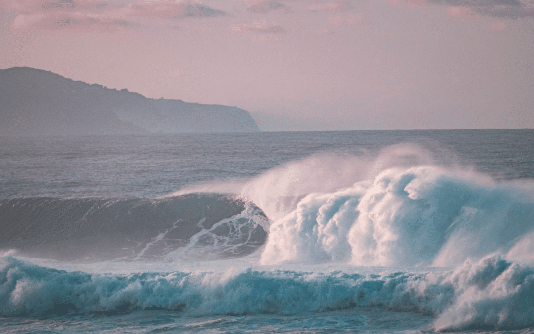 Escape To The Surf