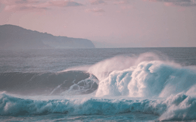 Escape To The Surf