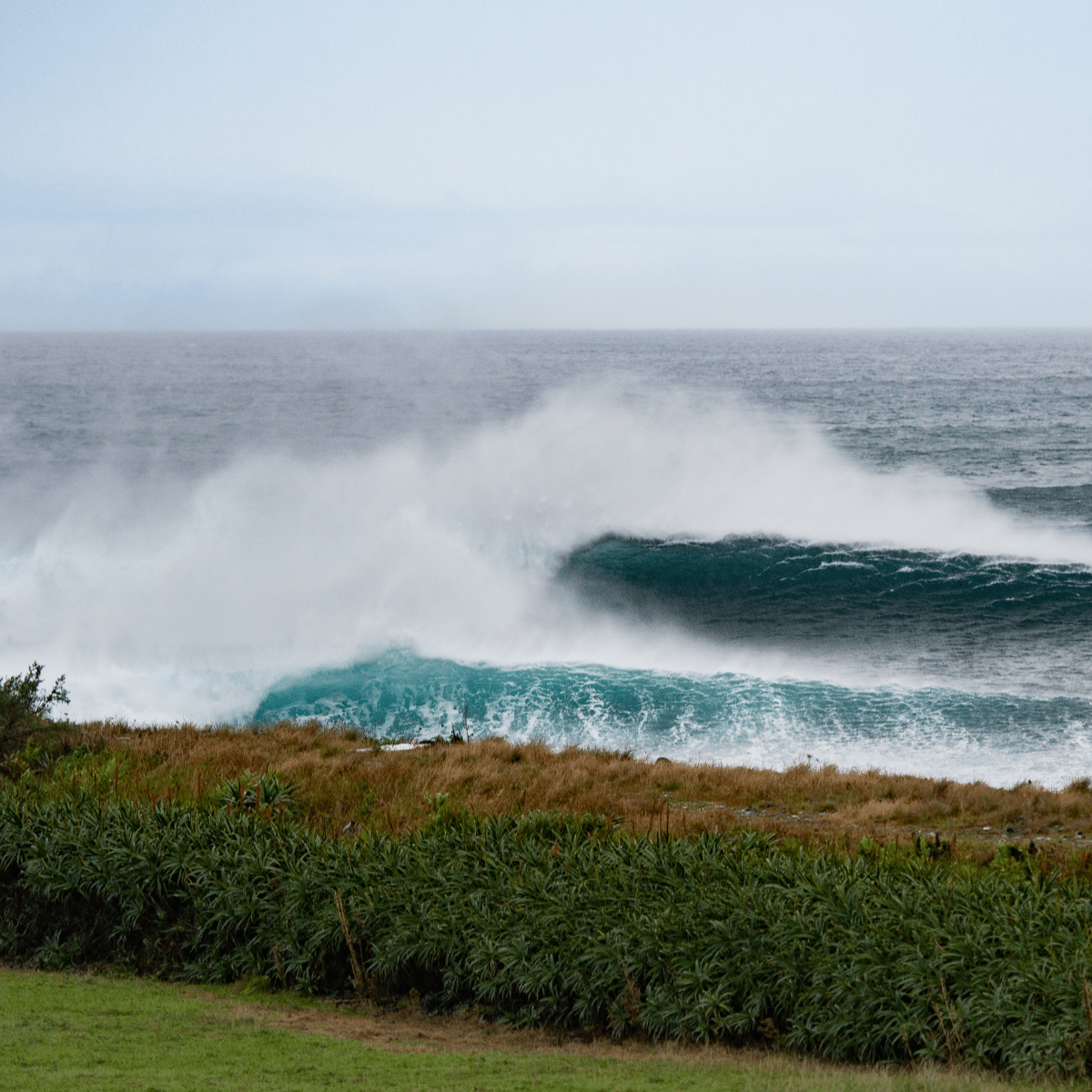 Escape to the Surf - Read More